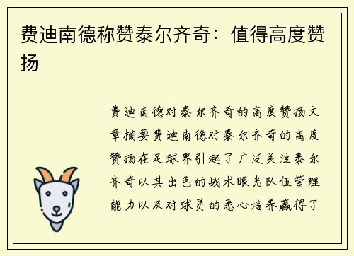 费迪南德称赞泰尔齐奇：值得高度赞扬