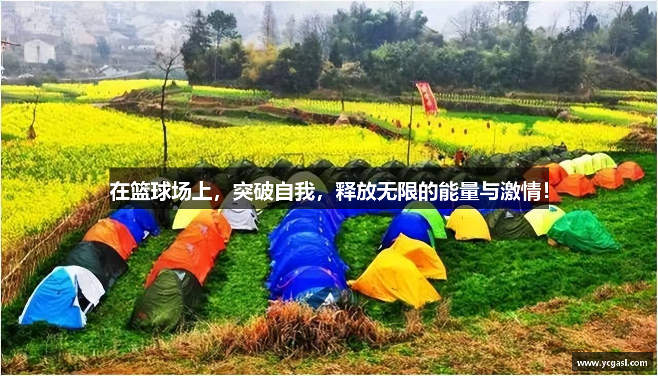  球盟会官方网站